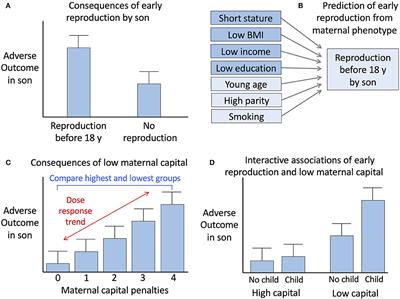 Life history trade-offs associated with exposure to low maternal capital are different in sons compared to daughters: Evidence from a prospective Brazilian birth cohort